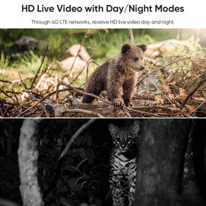 Caméra <span class=keywords><strong>de</strong></span> <span class=keywords><strong>chasse</strong></span> LS VISION solaire 4G avec support carte SIM, camouflage, étanche, détecte les animaux - Product Image 4