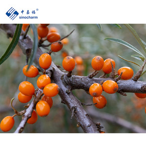 Sinocharm Halal chứng nhận iqf Berry nhà máy Bán buôn giá tươi hữu cơ kích thước lớn 500g đông lạnh biển cây hắc mai cho mứt - Product Image 4