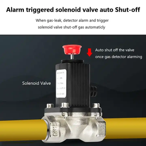Wholesale DC Emergency Relay <strong>Valve</strong> Shut Off <strong>LPG</strong> Safety 12V Gas Solenoid <strong>Valve</strong> - Product Image 3