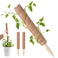 Poteau en mousse moderne et flexible pour plantes d'intérieur, grand modèle, pour tortues et bambous, support de croissance pour plantes