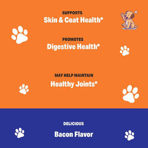 OEM/ODM Voedingssupplementen voor huisdieren: Rundcollageen + Biotine + Gember ter ondersteuning van huid & vacht, spijsvertering en gewrichten. Druppels voor honden & katten. - Product Image 4