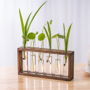Terrarium avec support en bois jardinières Tubes en verre <span class=keywords><strong>Vase</strong></span> à fleurs hydroponique pour ornements de maison de jardin - Product Image 4