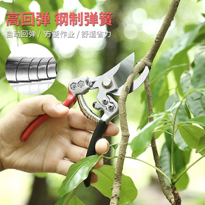Thickened Sk5 Steel <b>Pruning</b> Shears 20-30 Mm Bypass Pruner For Garden Fruit <b>Tree</b> Trimming - Product Image 4