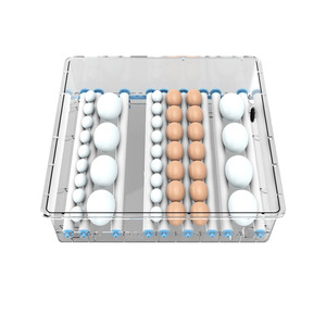 <span class=keywords><strong>Incubateur</strong></span> d'Œufs Mini Automatique à Taux d'Éclosion Élevé de <span class=keywords><strong>56</strong></span> Œufs - Product Image 3