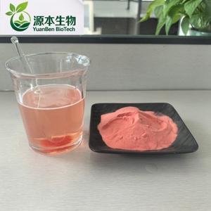 Il Produttore Fornisce Polvere di Succo di Fragola di Alta Qualità e Salutare. - Product Image 2
