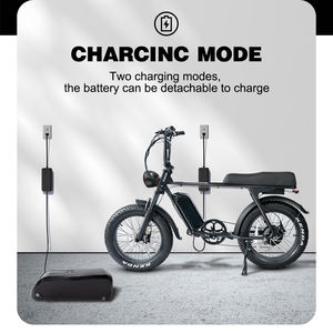 Entrepôt de l'UE 48V 15Ah 250W 20 pouces gros pneu E <span class=keywords><strong>vtt</strong></span> stock américain puissant suspension complète 13Ah 750W adultes hors charge vélo électrique - Product Image 6