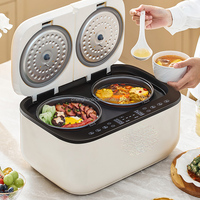 Cuisinière à riz électrique intelligente 800W pour 3-4 personnes, avec fonction de conservation de la chaleur, réservoir de 5L, double compartiment antiadhésif