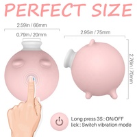 S-HANDE Sexspielzeug Klitoris-Saugvibrator Klitoris-Stimulator Brustwarzen-Saugvibrator für Frauen