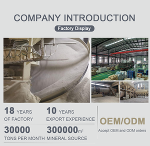 Oem/Odm Kat Kattenbakvulling Leverancier Beste Huisdierenproducten Topverkopers Van China Leveranciers Groothandelsprijs - Product Image 5