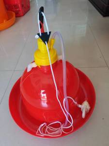 Sistema automático de agua potable <span class=keywords><strong>para</strong></span> granjas avícolas de la <span class=keywords><strong>mejor</strong></span> calidad, <span class=keywords><strong>bebedero</strong></span> <span class=keywords><strong>para</strong></span> pollos Plasson - Product Image 4