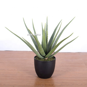 Planta Artificial <span class=keywords><strong>de</strong></span> Aloe <span class=keywords><strong>Vera</strong></span> en Maceta, Bonsái Suculento, Decoración <span class=keywords><strong>de</strong></span> Interiores para el Hogar y la Oficina - Product Image 5