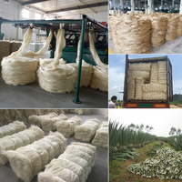Raw Fiber UG SSUG Sisal Fiber We Can Supply From China & Brazil & Tanzania & Kenya & Masagascar & Mozambique