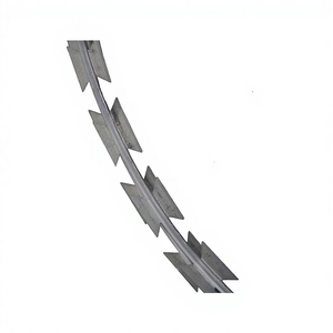 Fil barbelé en acier inoxydable 304 pour la protection des murs des prisons, clôture de sécurité revêtue de PVC avec service de modélisation 3D - Product Image 1
