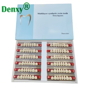 Dents <span class=keywords><strong>en</strong></span> résine synthétique Denxy, résistantes à l'usure, <span class=keywords><strong>en</strong></span> résine acrylique pour prothèse dentaire, deux couches, une couche - Product Image 6