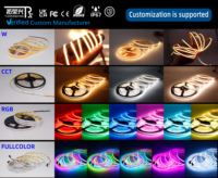 RGB a todo color LED tira de luz Flexible WS2811 24V programable direccionable lámpara fábrica 2811 24V programable direccionable USB