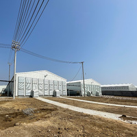 Structure en acier galvanisé sur mesure conçue pour les fermes avicoles