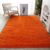 Tapis en peluche uni lavable en machine, tapis de sol pour salon, chambre à coucher, chevet, bureau