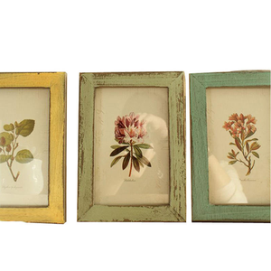 Wholesale Distressed Vintage Wood <strong>Picture</strong> <strong>Frame</strong> <strong>Shabby</strong> <strong>Chic</strong> Painted Botanical Art <strong>Frame</strong> for Farmhouse Home Tabletop Decor - Product Image 6
