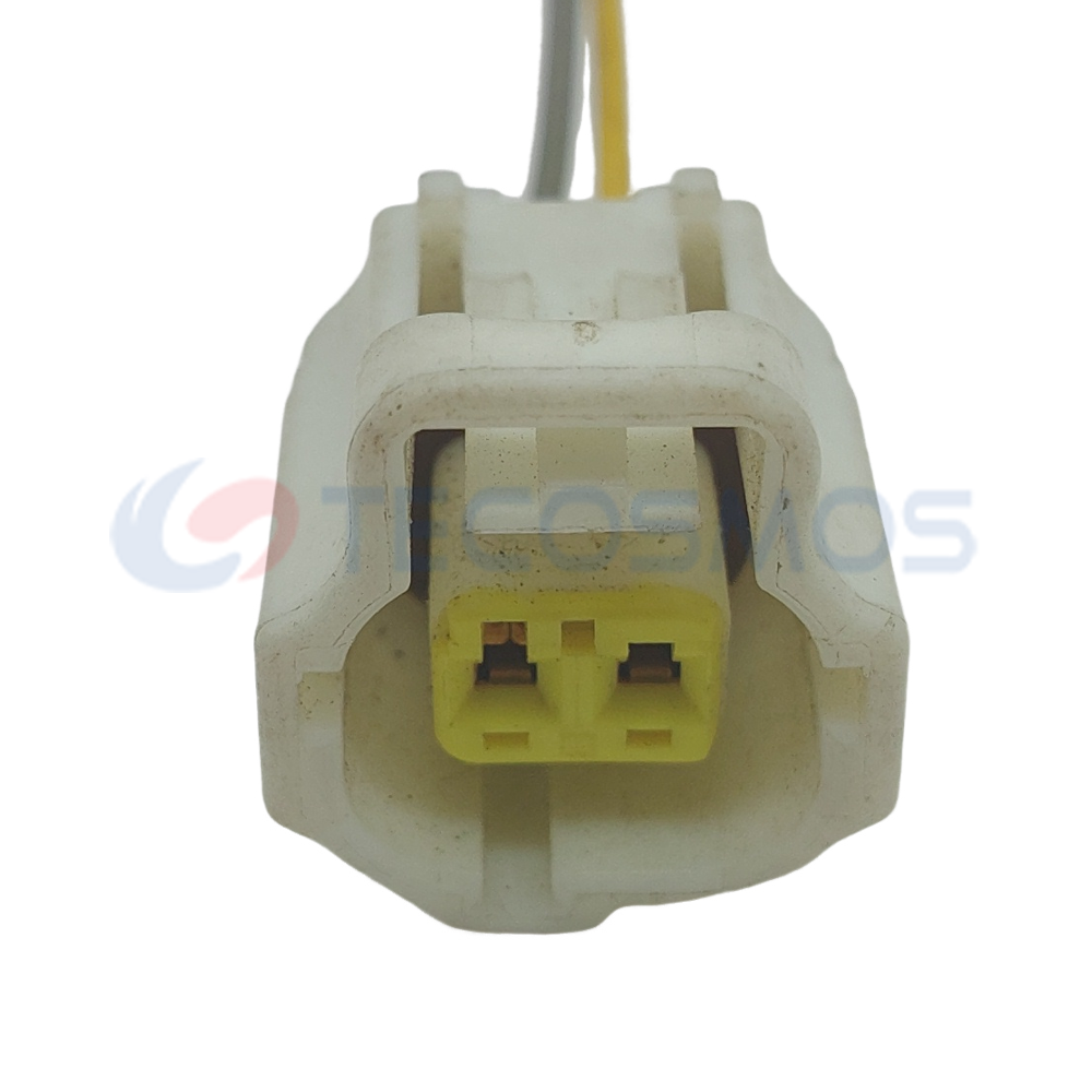 Wire Harness Plug of Automobile Waterproof Connector 2 Pin Female 184020-1