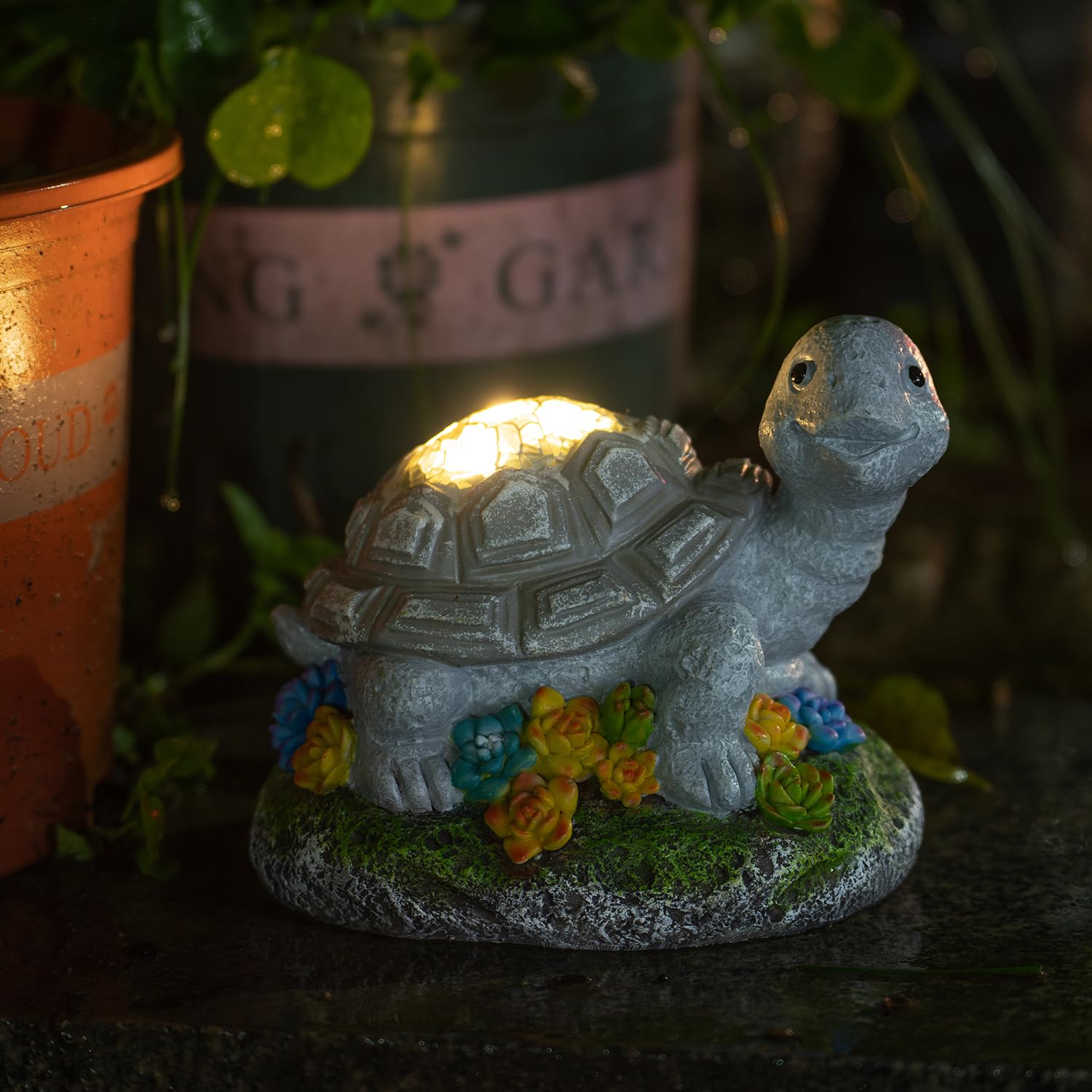 Tortue de mer