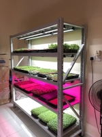 Petite plante végétale végétale de légumes avec Ventilation, bâche de croissance, greffage hydroponique, plateau de graines pour pépinière