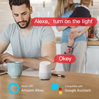Fête intelligente RVB APP télécommande LED downlight maison dimmable cct intérieur encastré intelligent plafond lumières vers le bas