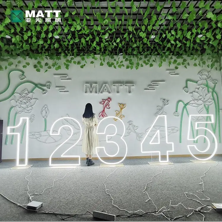 Matt personal isierte 1FT 2FT 3FT 4FT Nummer Zeichen Neon Nummer benutzer definierte Wand Acryl Led Leucht reklame Familie Geburtstags feier Dekor