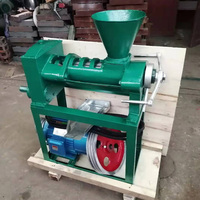 Presse à huile de palmiste Henan, presse à vis pour huile de palmiste, machine de pressage à huile pour les petites entreprises