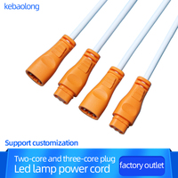Ligne DC bicolore mâle et femelle, ligne de connexion étanche, deux cœurs, trois cœurs, 0.3 carré LED lampe panneau lampe power co
