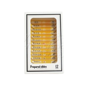 Lames microscopiques en plastique jaune, série végétale, équipement de microscopie pour les écoles primaires et secondaires, diapositives éducatives - Product Image 2