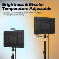 Lumière LED professionnelle à panneau plat tricolore de 24 pouces, 80W, AC 100-240V, trou de vis 1/4'', pour photographie, caméra, diffusion en direct