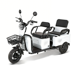Tricycle motorisé à trois roues pour adultes, à batterie au plomb, pour la famille, avec moteur puissant 60V/1000W - Offre spéciale - Product Image 4