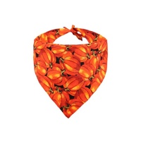 Bandana triangulaire double face pour chien, motif dessin animé Halloween citrouille, accessoire foulard-bavoir en tissu style graffiti pour animaux de compagnie
