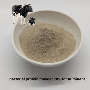 Glicirrizinato Dipotásico, Extracto Crudo de Regaliz, Aditivo Alimentario para Mascotas, Protección del Hígado y la Vesícula Biliar - Product Image 6