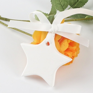 Toptan yıldız şekilli beyaz doğal seramik aromaterapi taş asılı hava spreyi difüzör araba ev dekorasyon için - Product Image 2