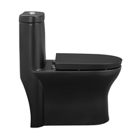 Appareils sanitaires de qualité supérieure Commode de type P Salle de bain en céramique Noir mat Toilettes une pièce