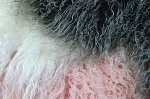 Tissu en <span class=keywords><strong>fourrure</strong></span> de mouton tibétain à poils longs, tissu en <span class=keywords><strong>fourrure</strong></span> de mouton mongol à poils longs et bouclés, doublure en <span class=keywords><strong>fourrure</strong></span> animale - Product Image 3