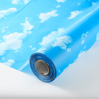 Film de plafond en PVC de qualité industrielle pour usage hôtelier moderne, isolation thermique, imperméable, ignifuge, épaisseur 0,12 mm, décoratif