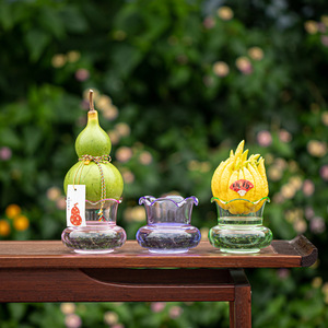 Vase créatif en verre pour plantes aquatiques avec fruits de citron bergamote et de courge, conteneur hydroponique de bureau pour le Nouvel An chinois - Product Image 3