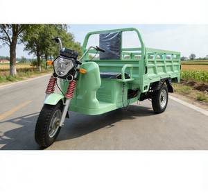 Triciclo Eléctrico de Carga de 2000W, el Más Vendido, para Uso Familiar, Duradero, de Alta Eficiencia y con Capacidad de 2 Toneladas - Product Image 6