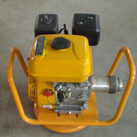 OEM ODM Industrieller Benzin-Betonvibrator mit Geringer Lautstärke und Flexiblem Schaft für Kommunale Bautechnik