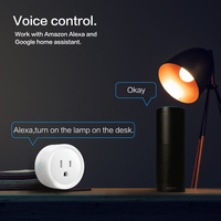 Prise intelligente Wi-Fi Tuya standard US en gros pour prise de courant 10A/16A avec suivi de consommation d'énergie, compatible Alexa Google Home, IP20 CE