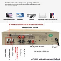 Amplificateur de karaoké haute fidélité AV-6288BT 1000W 2*500W double usage 12V/220V AC/DC BT sans fil en plastique