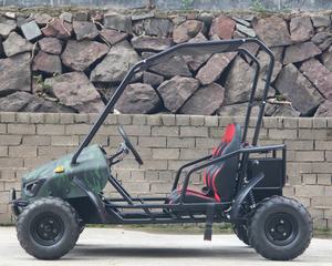 Rapporto di trasmissione 10:<span class=keywords><strong>1</strong></span> <span class=keywords><strong>Go</strong></span> <span class=keywords><strong>Kart</strong></span> elettrico 2 posti con batteria al piombo <span class=keywords><strong>Kart</strong></span> fuoristrada 60 v20ah - Product Image 3