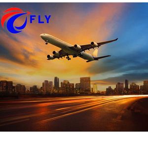 선전 항공화물 에이전트 Ddu Ddp Usa 운송업자 중국에서 마닐라로화물 배송 - Product Image 1