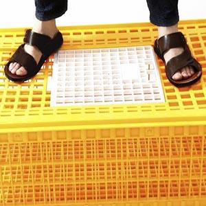 Tavuk ördek için kanatlı taşıma kafesi havalandırmalı istiflenebilir plastik kanatlı kasalar - Product Image 4