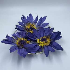 Flores de Loto Azul Orgánicas Secas - Product Image 2