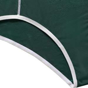 Nuevas bragas tipo tanga de nailon sin costuras, transpirables, ecológicas, de talle bajo, para mujer, con logotipo personalizado en la cintura. - Product Image 4