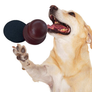 Planche à gratter pour chien en <span class=keywords><strong>bois</strong></span> détachable, de luxe et écologique, lime à ongles pour animaux, grattoir, outil de toilettage des pattes, coupe-ongles - Product Image 4