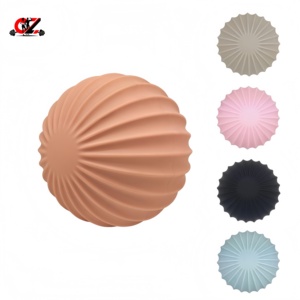 CZFIT Factory Best Seller Nouveaux équipements de fitness en silicone, ballons de <span class=keywords><strong>yoga</strong></span> et de Pilates, haltères et accessoires en promotion - Product Image 1